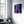 Teddy Bear - Designers Collection Glass Wall Art - Artdesigna