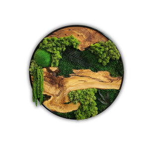 Organic Oasis | Premium Moss and Olive Wood Wall Decor - Artdesigna