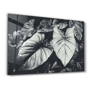 Elephant's Ears | Glass Wall Art - Artdesigna