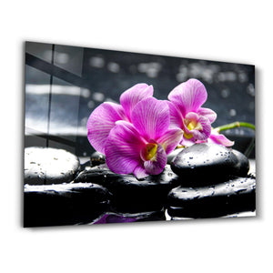 Lavinia | Glass Wall Art - Artdesigna