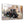 Bridda Car | Glass Wall Art - Artdesigna