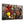 Colorful Spices | Glass Wall Art - Artdesigna