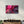 Pink Leaves | Glass Wall Art - Artdesigna