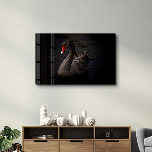 Black Goose | Glass Wall Art - Artdesigna