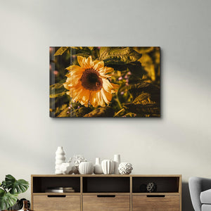 Bye October Hello November | Glass Wall Art - Artdesigna