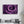 Purple Rose V2 | Glass Wall Art - Artdesigna