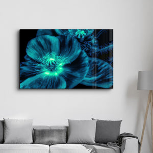 Morning Glory | Glass Wall Art - Artdesigna