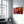 Abstract Colorful Iguana | Glass Wall Art - Artdesigna