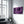 Purple Rose V2 | Glass Wall Art - Artdesigna