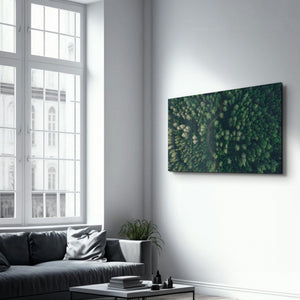 Divided Forest | Glass Wall Art - Artdesigna