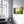 The Forest | Glass Wall Art - Artdesigna