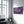 Purple Leaf | Glass Wall Art - Artdesigna