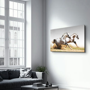 Running Horses | Glass Wall Art - Artdesigna