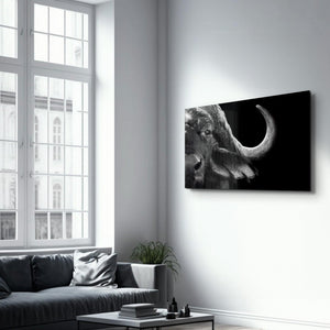 Buffalo | Glass Wall Art - Artdesigna