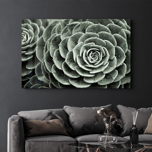 Raindrops On Echeveria | Glass Wall Art - Artdesigna