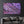Purple Leaf | Glass Wall Art - Artdesigna
