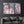 Divided Flowers | Glass Wall Art - Artdesigna