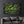 Ivy | Glass Wall Art - Artdesigna