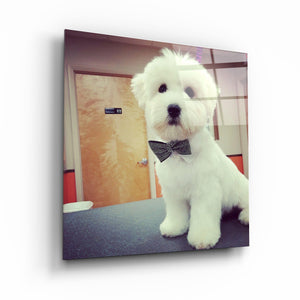 ."Custom Printing". Square Shape Glass Wall Art - ArtDesigna Glass Printing Wall Art