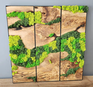 Unexplored Moss Forest | Premium Handmade Wall Sculptures - Artdesigna