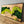 Handmade Moss & Olive Tree Wood Wall Art Rectangular | Preimum Wall Sculptures - Artdesigna