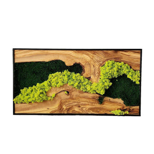 Handmade Moss & Olive Tree Wood Wall Art Rectangular | Preimum Wall Sculptures - Artdesigna
