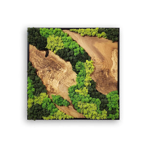Moss and Olive Wood Tree Wall Art 3 Colors | Premium Handmade Wall Sculptures - Artdesigna